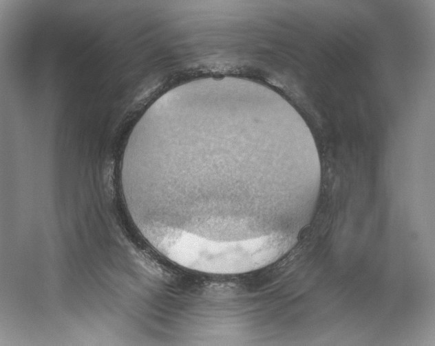 X0000064040066200602171655