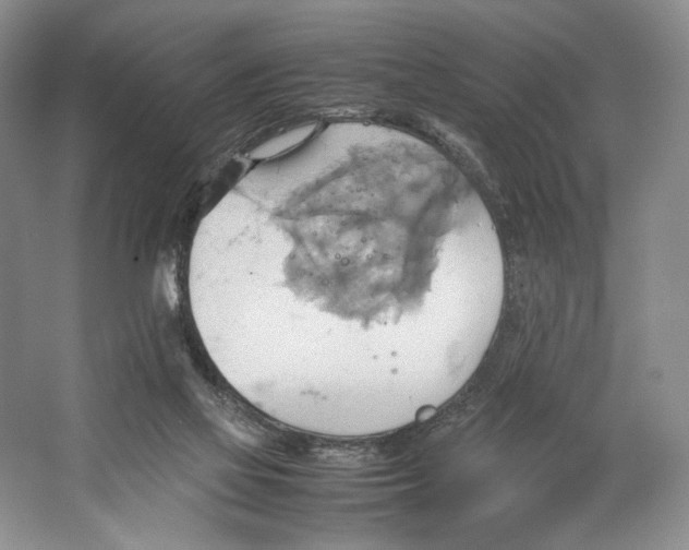 X0000064040069200602171655