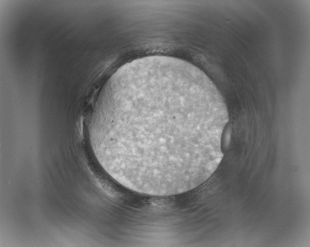 X0000064040070200602171655