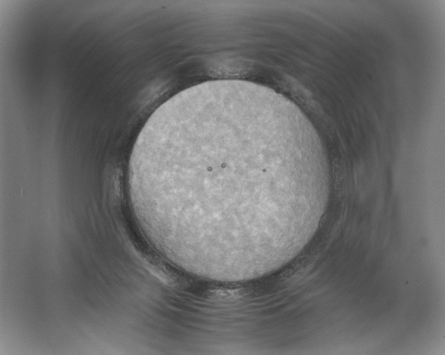 X0000064040071200602171655