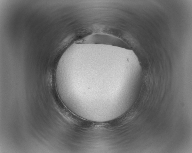 X0000064040072200602171655