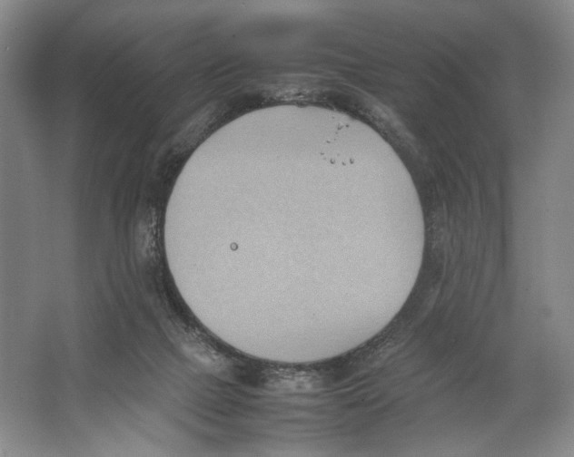 X0000064040073200602171655