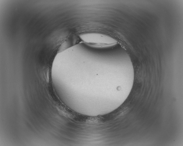 X0000064040076200602171655