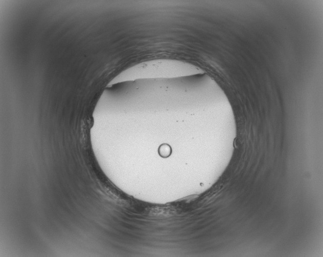 X0000064040077200602171655