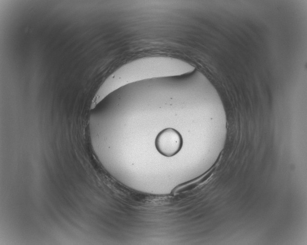 X0000064040078200602171655