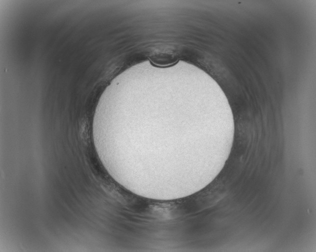 X0000064040079200602171655