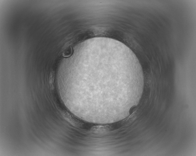 X0000064040082200602171655