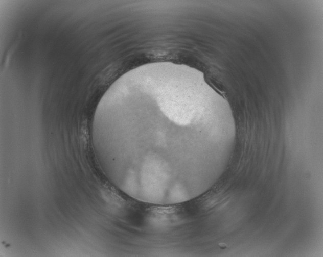 X0000064040085200602171655