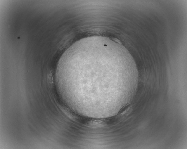 X0000064040086200602171655