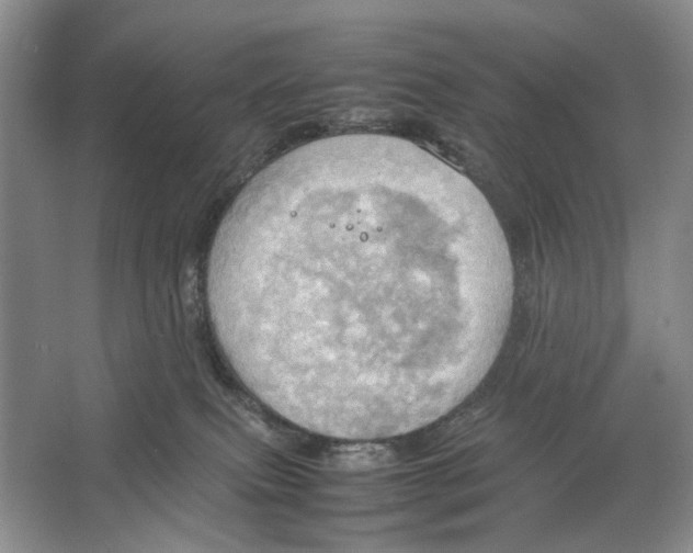 X0000064040087200602171655