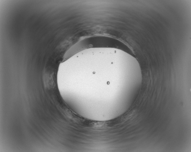 X0000064040088200602171655