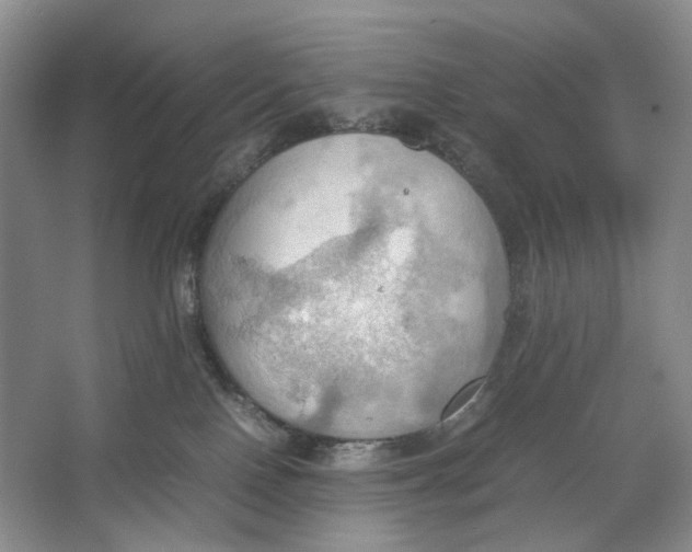 X0000064040090200602171655