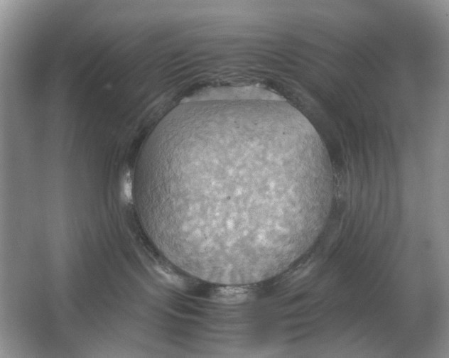 X0000064040095200602171655