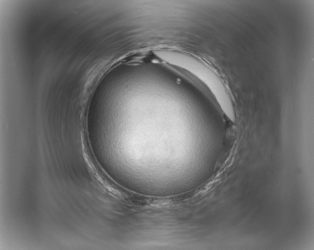 X0000064040097200602171655