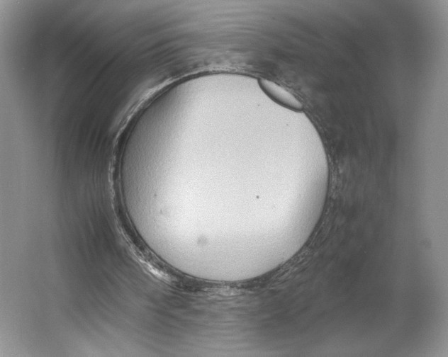 X0000064040098200602171655