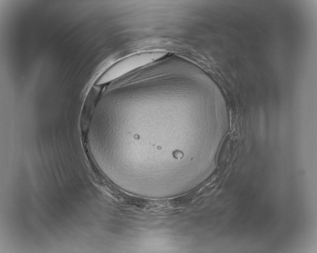 X0000064040099200602171655