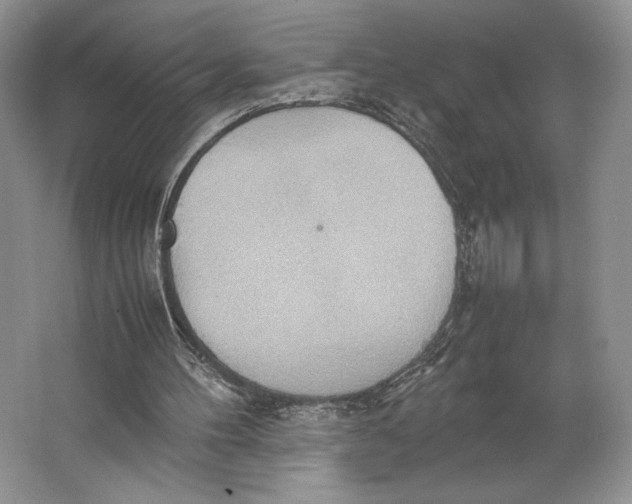 X0000064040100200602171655