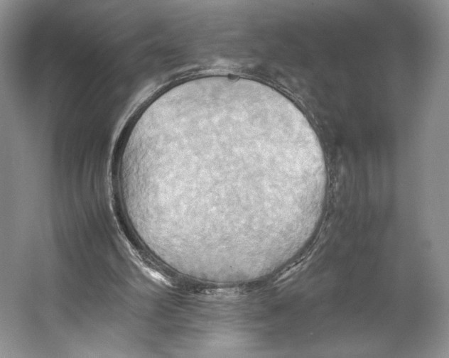 X0000064040102200602171655