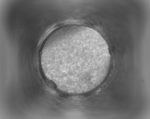 X0000064040103200602171655