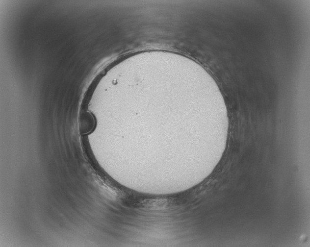 X0000064040104200602171655