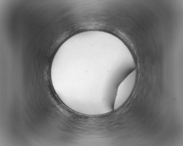 X0000064040105200602171655