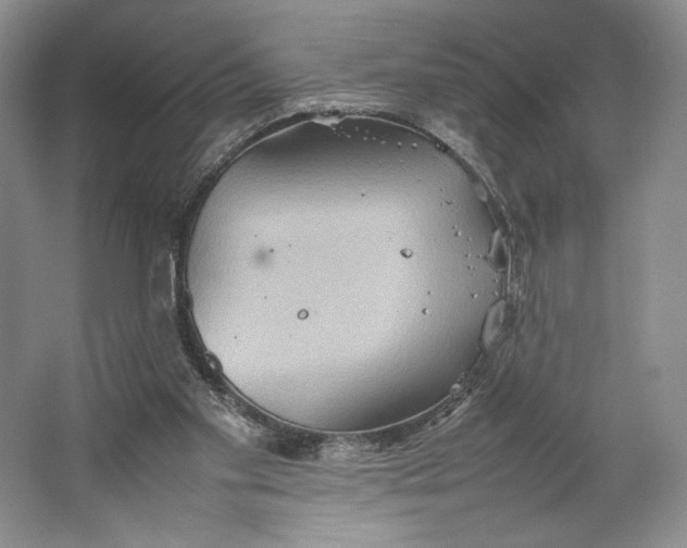 X0000064040109200602171654