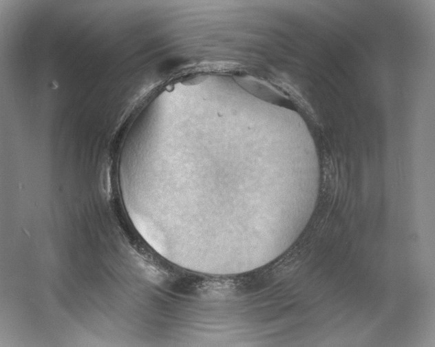 X0000064040110200602171654