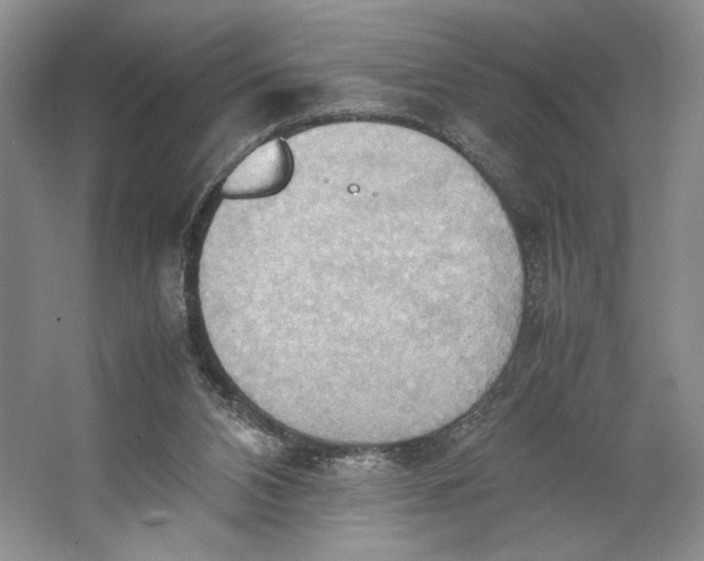 X0000064040112200602171654