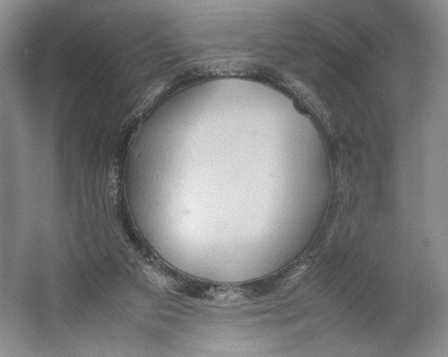 X0000064040113200602171654