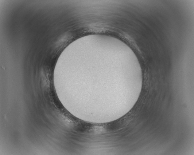 X0000064040114200602171654