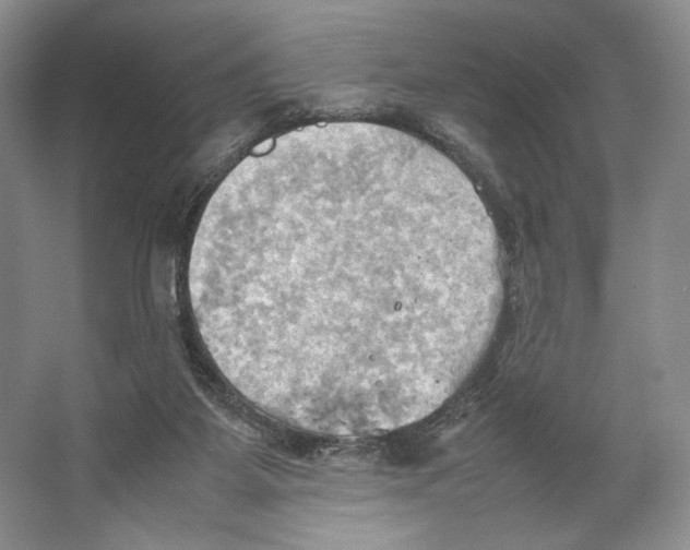 X0000064040115200602171654