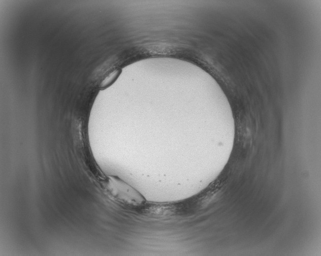 X0000064040117200602171654