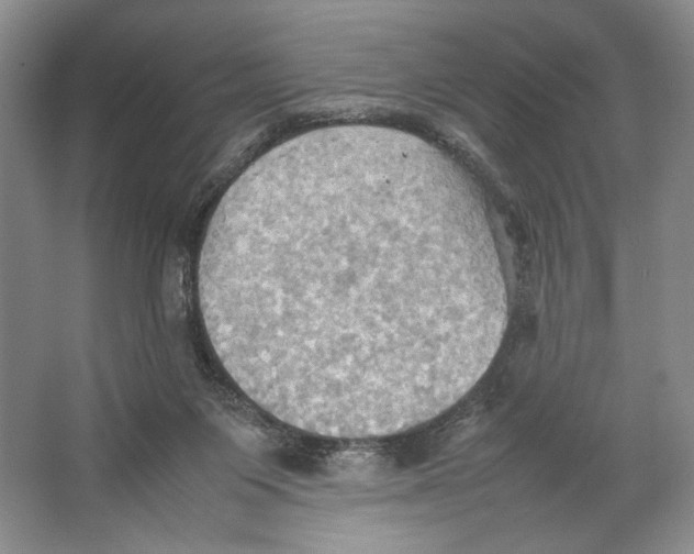 X0000064040119200602171654