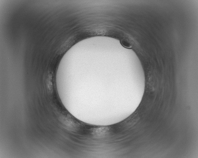 X0000064040122200602171654