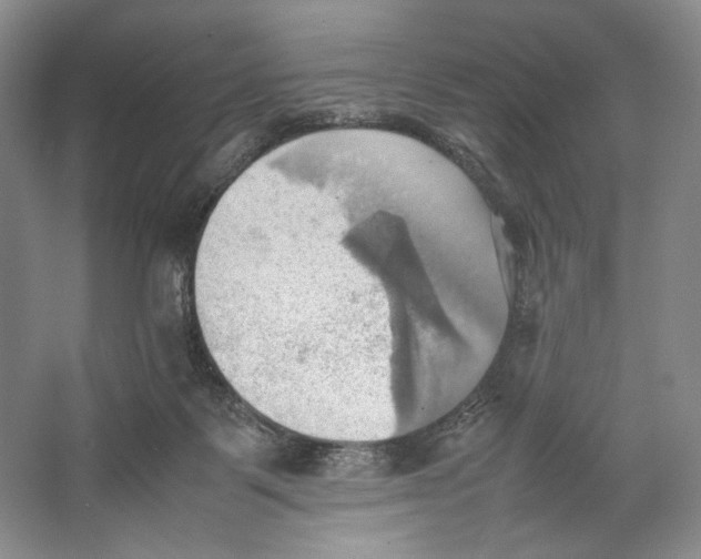 X0000064040123200602171654