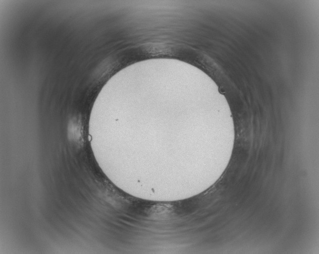 X0000064040124200602171654