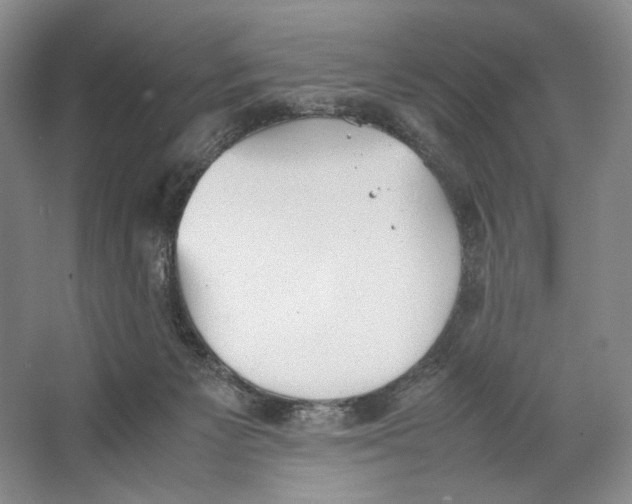 X0000064040125200602171654