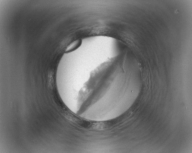 X0000064040127200602171654