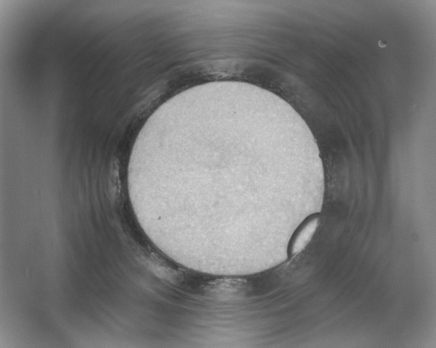 X0000064040128200602171654