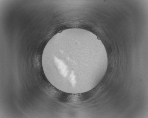 X0000064040131200602171654