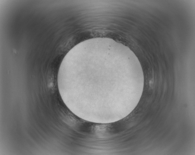 X0000064040134200602171654