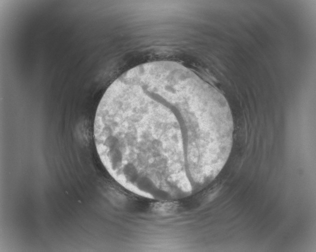 X0000064040135200602171654