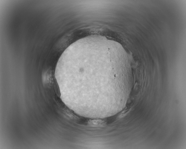 X0000064040137200602171654