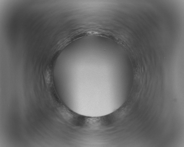 X0000064040139200602171654