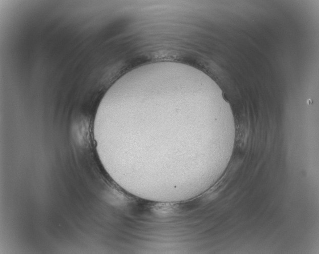 X0000064040142200602171654