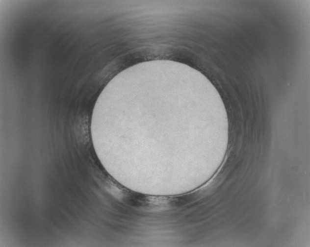 X0000064040144200602171654