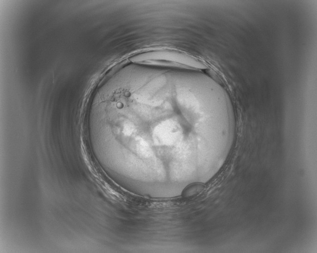 X0000064040145200602171653