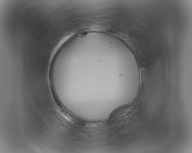 X0000064040147200602171653