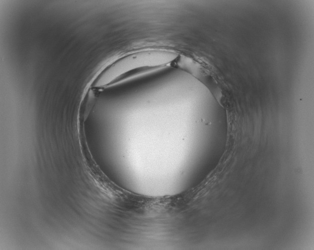 X0000064040148200602171653