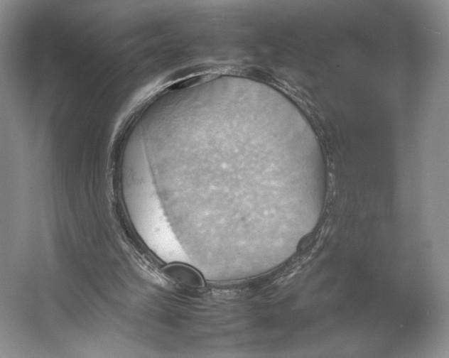 X0000064040149200602171653